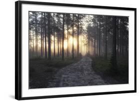 Gentle Sun-Andreas Stridsberg-Framed Giclee Print