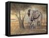 Gentle Touch-Ruane Manning-Framed Stretched Canvas