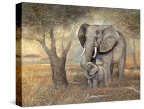 Gentle Touch-Ruane Manning-Stretched Canvas