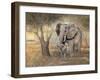 Gentle Touch-Ruane Manning-Framed Art Print