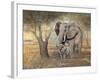 Gentle Touch-Ruane Manning-Framed Art Print