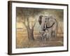 Gentle Touch-Ruane Manning-Framed Art Print