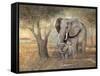 Gentle Touch-Ruane Manning-Framed Stretched Canvas