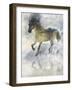 Gentle Walk II-Ken Roko-Framed Art Print