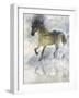 Gentle Walk II-Ken Roko-Framed Art Print