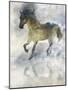 Gentle Walk II-Ken Roko-Mounted Art Print