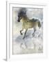 Gentle Walk II-Ken Roko-Framed Art Print