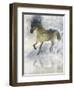 Gentle Walk II-Ken Roko-Framed Art Print