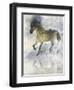 Gentle Walk II-Ken Roko-Framed Art Print