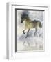 Gentle Walk II-Ken Roko-Framed Art Print