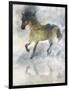 Gentle Walk II-Ken Roko-Framed Art Print