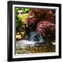 Gentle Waterfall II-Alan Hausenflock-Framed Photo