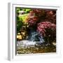 Gentle Waterfall II-Alan Hausenflock-Framed Photo