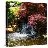 Gentle Waterfall II-Alan Hausenflock-Stretched Canvas