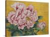 Gently Pink Peony Flower on a Gold Background-mossolainen nikolai-Stretched Canvas