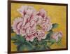 Gently Pink Peony Flower on a Gold Background-mossolainen nikolai-Framed Art Print