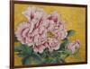 Gently Pink Peony Flower on a Gold Background-mossolainen nikolai-Framed Art Print