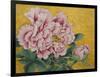 Gently Pink Peony Flower on a Gold Background-mossolainen nikolai-Framed Art Print