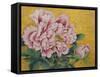 Gently Pink Peony Flower on a Gold Background-mossolainen nikolai-Framed Stretched Canvas