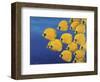 Gently, Quietly-Keith Siddle-Framed Giclee Print