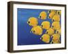 Gently, Quietly-Keith Siddle-Framed Giclee Print