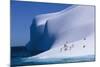 Gentoo and Chinstrap Penguins on Iceberg-null-Mounted Photographic Print