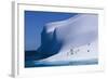 Gentoo and Chinstrap Penguins on Iceberg-null-Framed Photographic Print