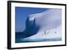 Gentoo and Chinstrap Penguins on Iceberg-null-Framed Photographic Print