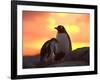 Gentoo Penguin and Chick, Antarctica-Hugh Rose-Framed Photographic Print