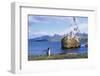 Gentoo Penguin Calling Near Abandoned Whaling Ship-Paul Souders-Framed Photographic Print