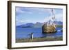 Gentoo Penguin Calling Near Abandoned Whaling Ship-Paul Souders-Framed Photographic Print