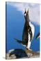 Gentoo Penguin Calling-Paul Souders-Stretched Canvas