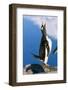 Gentoo Penguin Calling-Paul Souders-Framed Photographic Print