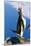 Gentoo Penguin Calling-Paul Souders-Mounted Photographic Print