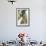 Gentoo Penguin Chick Being Fed by Parent on the Falkland Islands-Martin Zwick-Framed Photographic Print displayed on a wall