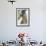 Gentoo Penguin Chick Being Fed by Parent on the Falkland Islands-Martin Zwick-Framed Photographic Print displayed on a wall