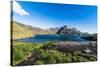 Gentoo penguin colony in the bay of Godthul, South Georgia, Antarctica, Polar Regions-Michael Runkel-Stretched Canvas