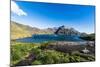 Gentoo penguin colony in the bay of Godthul, South Georgia, Antarctica, Polar Regions-Michael Runkel-Mounted Photographic Print