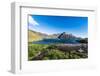 Gentoo penguin colony in the bay of Godthul, South Georgia, Antarctica, Polar Regions-Michael Runkel-Framed Photographic Print