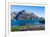 Gentoo penguin colony on the edge of the bay of Godthul, South Georgia, Antarctica, Polar Regions-Michael Runkel-Framed Photographic Print