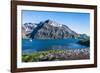 Gentoo penguin colony on the edge of the bay of Godthul, South Georgia, Antarctica, Polar Regions-Michael Runkel-Framed Photographic Print