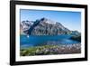 Gentoo penguin colony on the edge of the bay of Godthul, South Georgia, Antarctica, Polar Regions-Michael Runkel-Framed Photographic Print