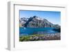 Gentoo penguin colony on the edge of the bay of Godthul, South Georgia, Antarctica, Polar Regions-Michael Runkel-Framed Photographic Print