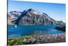 Gentoo penguin colony on the edge of the bay of Godthul, South Georgia, Antarctica, Polar Regions-Michael Runkel-Stretched Canvas