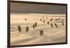 Gentoo Penguin Falkland Islands.-Martin Zwick-Framed Photographic Print