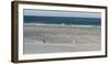 Gentoo Penguin Falkland Islands.-Martin Zwick-Framed Photographic Print