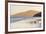 Gentoo Penguin Falkland Islands.-Martin Zwick-Framed Photographic Print