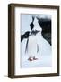 Gentoo Penguin in Antarctica-Paul Souders-Framed Photographic Print