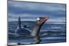 Gentoo Penguin in Antarctica-Paul Souders-Mounted Photographic Print