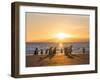 Gentoo penguin on a sandy beach in the Falkland Islands in January.-Martin Zwick-Framed Photographic Print